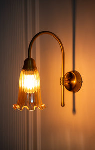 Divine Trends Brass Antique Finish Hockey Wall Lamp with Fluted Flower Golden Luster Glass- with Reversable Design