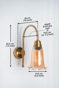 Divine Trends Brass Antique Finish Hockey Wall Lamp with Fluted Flower Golden Luster Glass- with Reversable Design