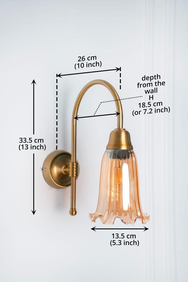 Divine Trends Brass Antique Finish Hockey Wall Lamp with Fluted Flower Golden Luster Glass- with Reversable Design