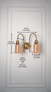 Divine Trends Brass Antique Finish Double Hockey Wall Lamp with Fluted Flower Golden Luster Glass Lampshade- with Reversable Design