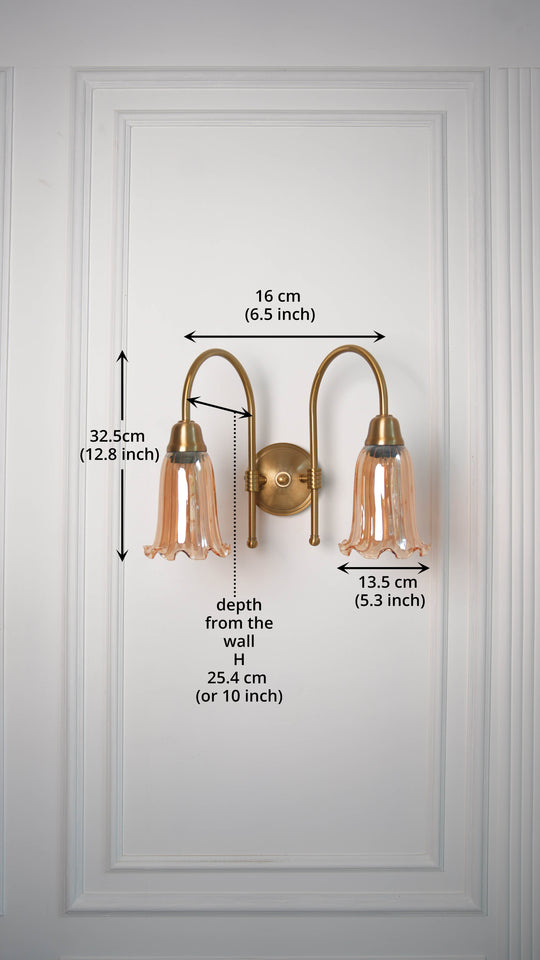 Divine Trends Brass Antique Finish Double Hockey Wall Lamp with Fluted Flower Golden Luster Glass Lampshade- with Reversable Design